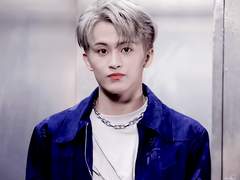 육묘일기 TALK! 🐱🐱🐱🐱