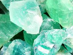 죽은 꽃의 열렬함을 사랑합니다.