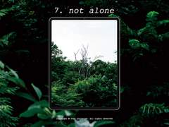 7. not alone