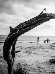 커리어 사춘기를 지나는 중입니다.