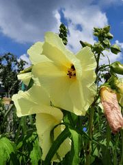 우리 집에 남의 편이 살고 있어요