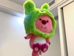 멤버십 운영 공지