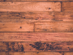 얼어붙은 절망에서 희망으로