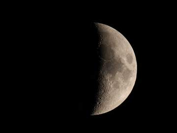 이브닝 프림로즈(1)