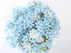 이에리카 관통후기