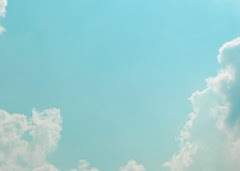 스트리가 사립학교 졸업식 AU 타로