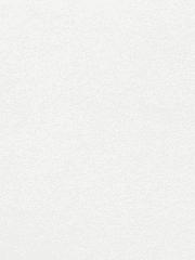 살아남은 자들의 도시