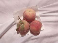 [쟁빈] 나의 복숭아