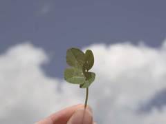 [쟁빈] 오늘의 운세를 믿으세요?