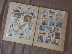 [쟁빈] 한 달에 한 번.