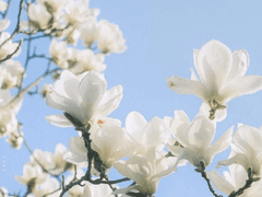 재능은 노력으로 못 이긴다는 걸.