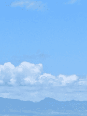 리얼리티 인터뷰(릴티 위키)