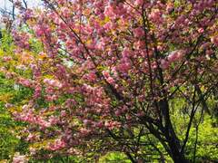 [은혼 드림/상황문답] 축제 연극 리허설 {번외}