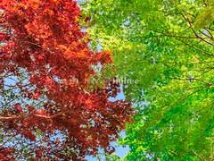 [📷]2장. 나무🌳