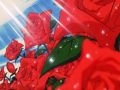 삶이라는 농담의 향연♬°ృ