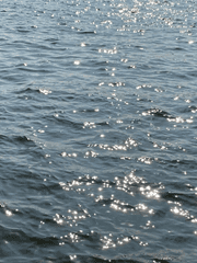 #𝐬𝐩𝐚𝐫𝐤𝐥𝐞