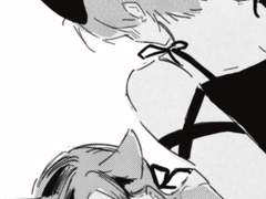 고양이 형제.. 혼자보세요