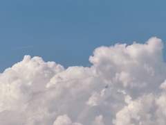 [윶랩]저희 좀비 그 정도 아닙니다.