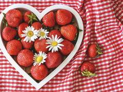 오늘의 딸기는 무슨 딸기?