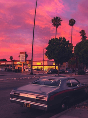 살아남고 싶다면 개새끼를 꼬셔라