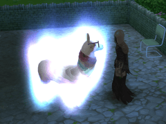 4~8대 플레이②-1