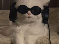 채널 분리 & 연재 관련 공지