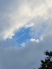 언젠가 당신이 읽을 편지(가제)