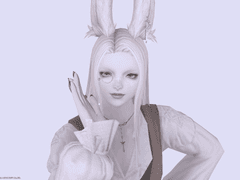 《 단丹 》 자미