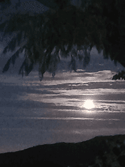 끈적한 잔혹함에게