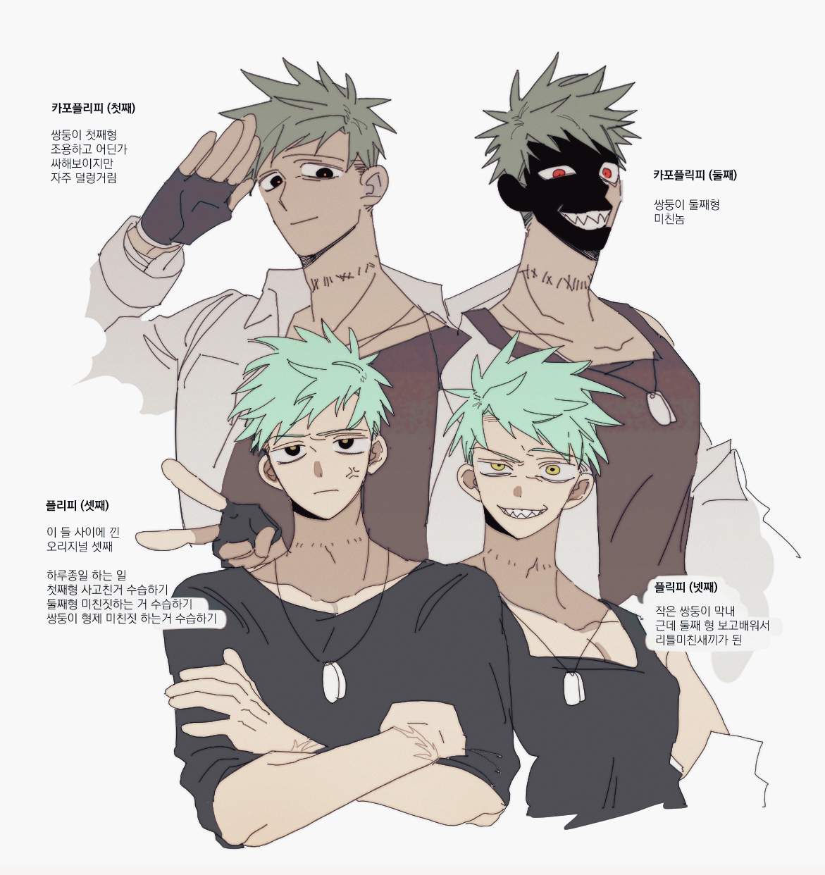 플리피즈 형제날조: .