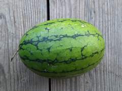 진짜, '보통 아닌' 부부