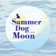 Summer Dog on the Moon