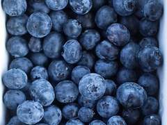 [식단일기] 여름과 이별하는 블루베리