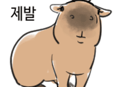 20230830 카피바라정면