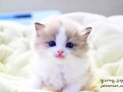 [국민]정국아 생일 축하해!!