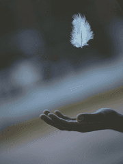 [엘규현] 사신관(조선마법학교)