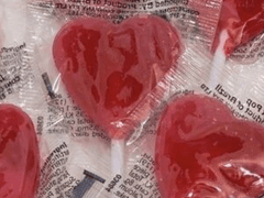 체리의 고군분투 세인트마리에서 살아남기✨ (1)