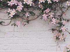 君の心に触れた