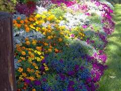 토끼 가족 다자츄🐇