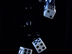 심야의 모교방문기