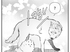 한한/준기준기 로그 백업 1