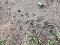 [dot] 09/01 뗏목 위에서