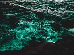 가린 엉망 그속엔.