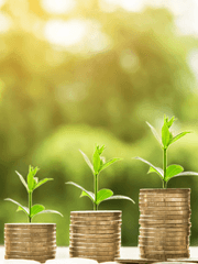 세리스의 경제일지