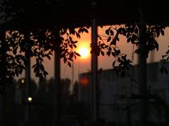 ☼ Serva me, servabo te