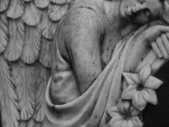 조슈아 P. 비셔스 | 후플푸프 | 순혈 | XY