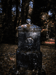 리빙데드 이레귤러