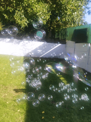 500원 psd, 보정법