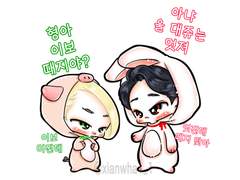 때지보와 톡히쟌 도안