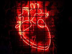 클럽 드바이에 오신걸 환영합니다